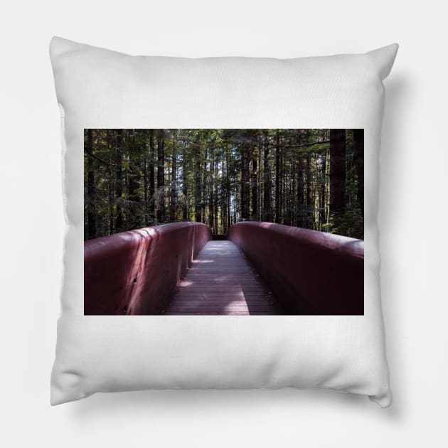 Lady Bird Johnson Grove bridge Pillow by blossomcophoto