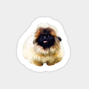 Pekingese Adorable Puppy Dog Magnet