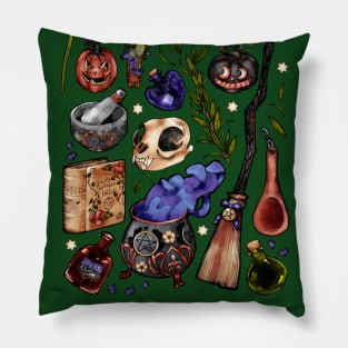 Kitchen Witch Green background Pillow