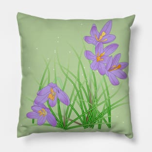 Crocus Flowers on Light Green Pillow