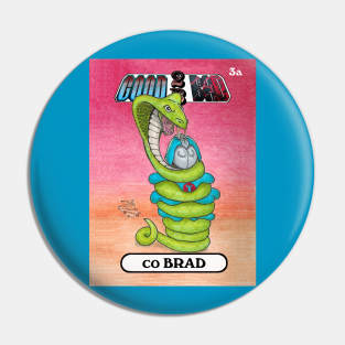 Brad Pin