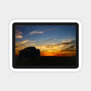 Bison Sunset Prairie Magnet