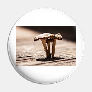 Fungal Light Pin