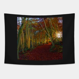 Sunrise, Westridge Woods on the Cotswold Way Tapestry