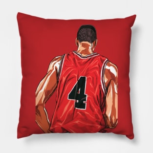 Slam Dunk Akagi Takenori vector Pillow