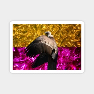 Vulture bicolor II / Swiss Artwork Photography Magnet