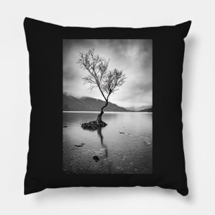 Lone Tree at Llyn Padarn Pillow