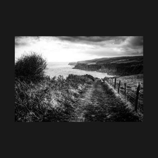 Cleveland Way North Yorkshire Coastline by stuartchard