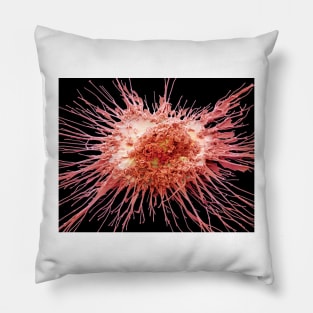 Dendritic cell, SEM (C028/8789) Pillow