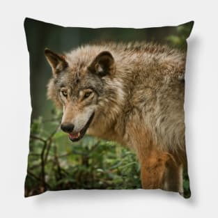 Timber Wolf Pillow