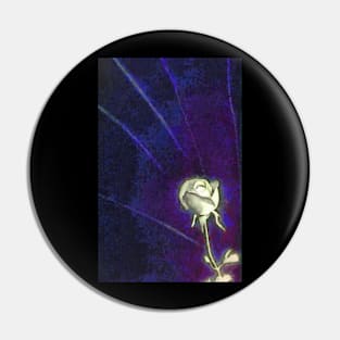 Glow of the Rose Pin