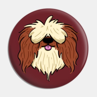 Brown mid haired shih tzu Pin