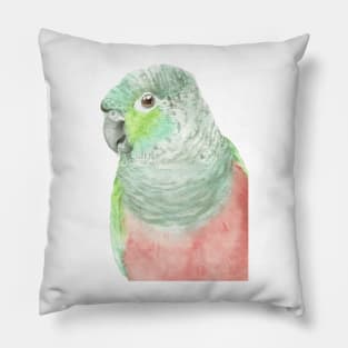 crimson-bellied parakeet watercolor portrait Pillow
