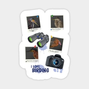 birding Magnet