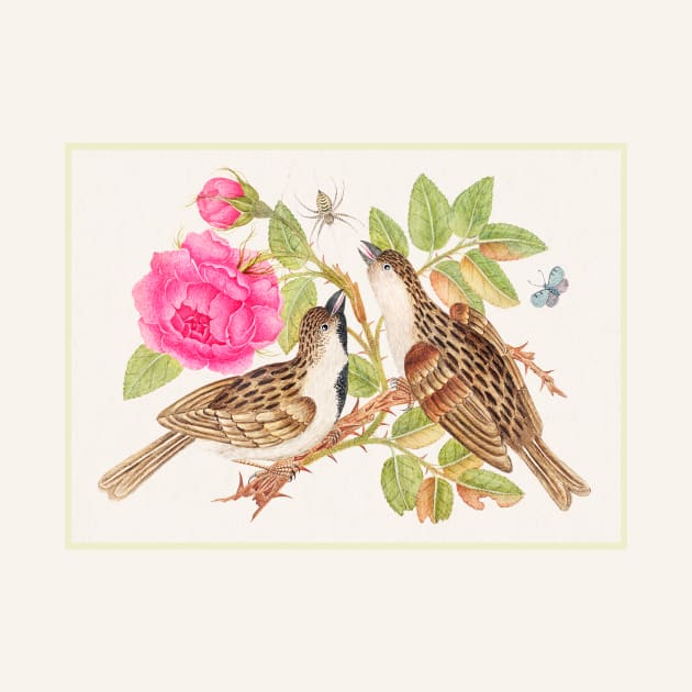 Pair of Brown Birds on Rose Stem with Butterfly and Spider (18th Century) by WAITE-SMITH VINTAGE ART