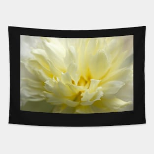 White peony close up, flower photography Tapestry