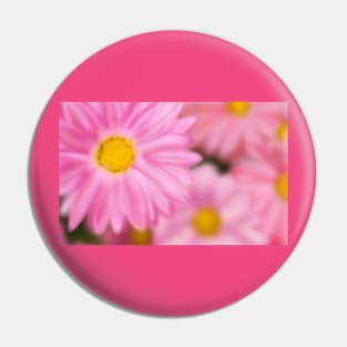 Airbrushed Pink Flowers Pin