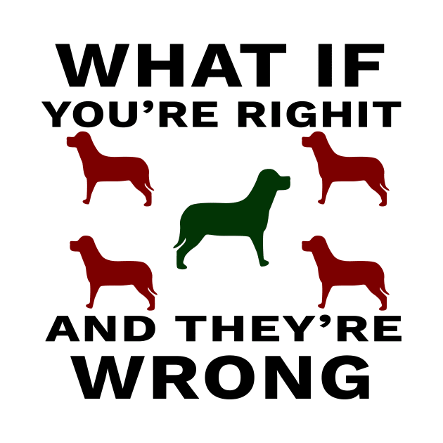 What If You're Right And They're Wrong by YassShop