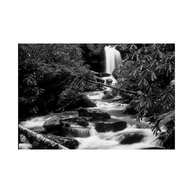 Upstream View in the Smoky Mountains by Rodwilliams