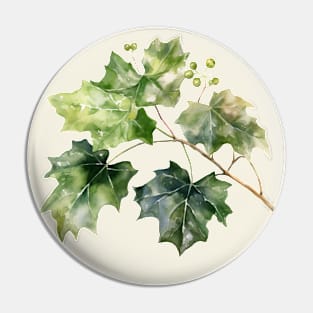 Beautiful Ivy Leaves Pin