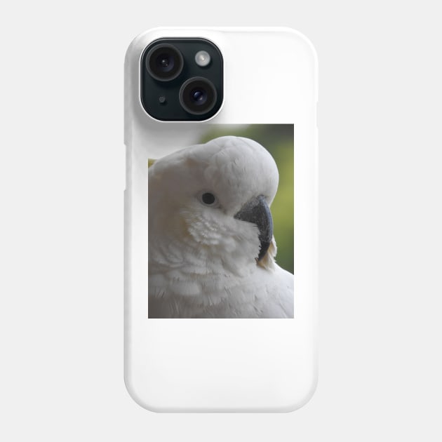 Sulphur Crested Cockatoo Phone Case by kirstybush