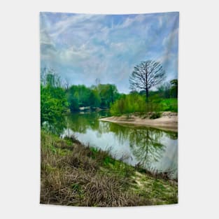 A River in Texas Tapestry