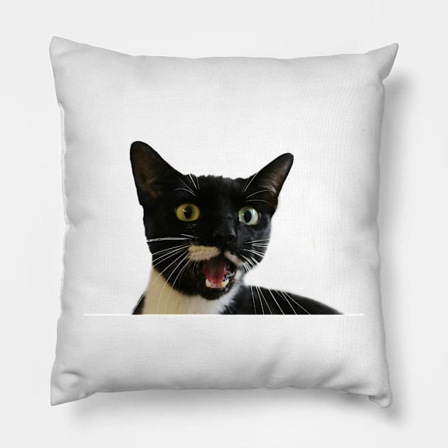 Oh Wow! Pillow by Ladymoose