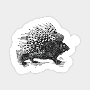 Porcupine strutting along... Magnet