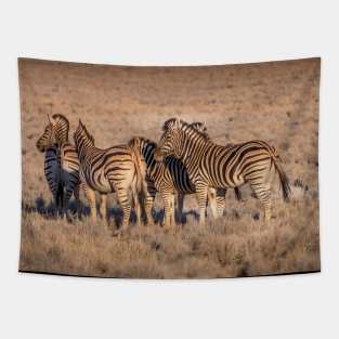 Zebras in Botswana Tapestry