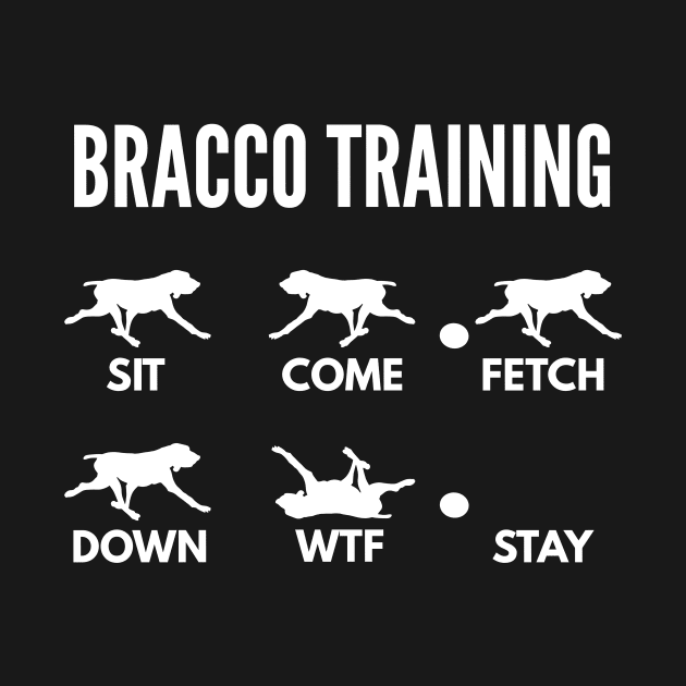 Bracco Italiano Training Italian Pointer Tricks by DoggyStyles