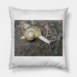 Haplotrema vancouverense snail Pillow