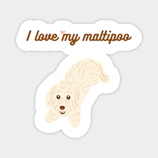 I love my maltipoo! Magnet