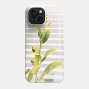 Bright young lemon tree with white blinders background. Vegan lifestyle Phone Case