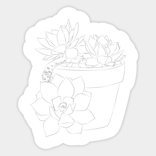 Succulent Line Art Cactus Sticker Teepublic