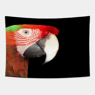 A Beautiful Bird Harlequin Macaw Portrait Vector Tapestry