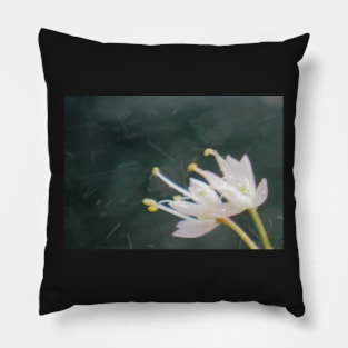 Nodding Allium Abstract Pillow
