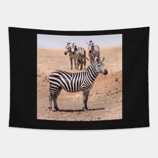 Serengeti Zebras #3 Tapestry