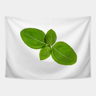 Basil leaves isolated on white background Tapestry