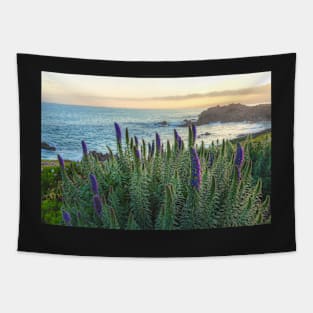 Monterey Coast in Spring Tapestry