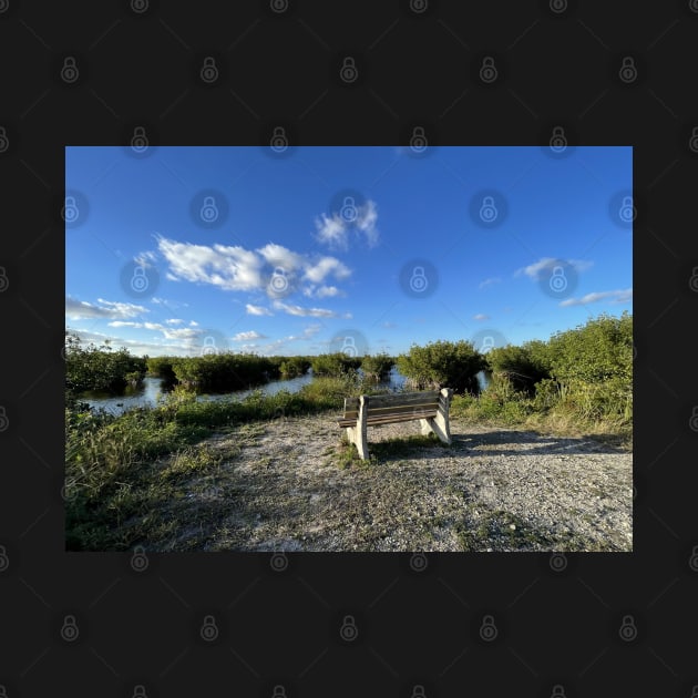 Florida Everglades Bench by Sparkleweather