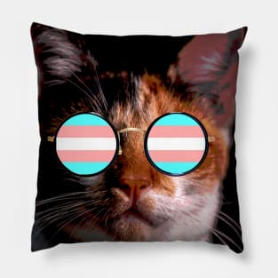 Cute Cat with Glasses Flag Pillow