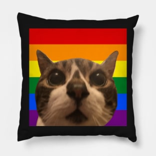 arch says gay rights Pillow