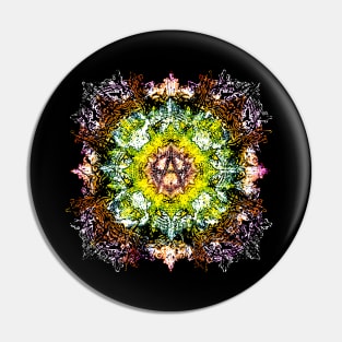 Anarchy Psychedelic RMX 2 Pin