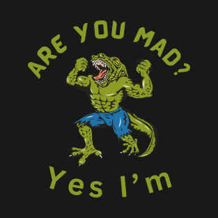 Are you mad? yes I'm T-Shirt