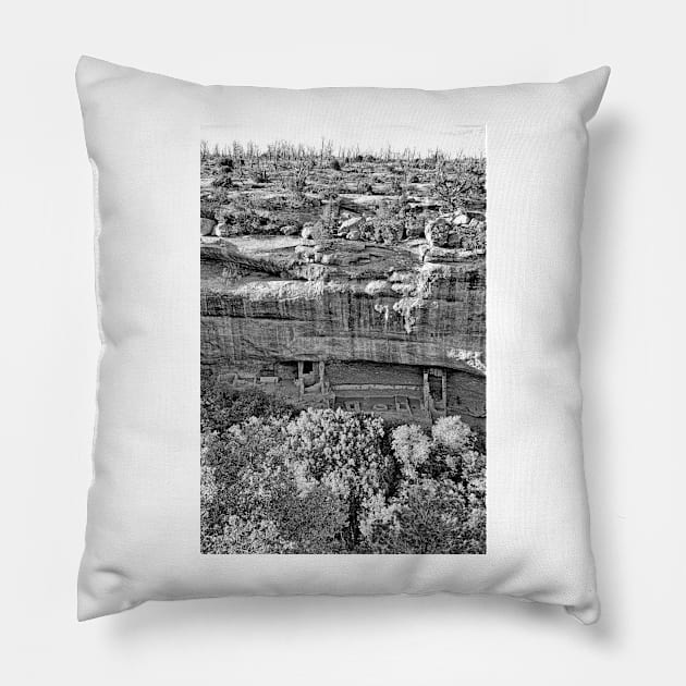 Anasazi Cliff Dwelling Pillow by bobmeyers