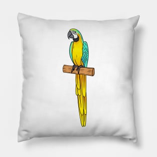 Blue-and-yellow macaw bird cartoon illustration Pillow