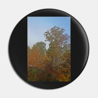 Woods in the Mist Pin