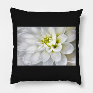 White dahlia Pillow