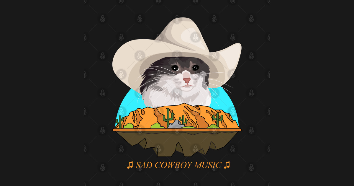 Sad Cat Wearing a Cowboy Hat Crying Meme Sad Cat Cowboy Hat Meme