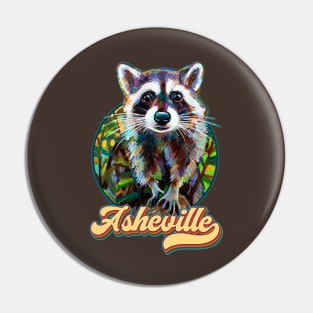 Cute Asheville NC Raccoon by Robert Phelps Pin